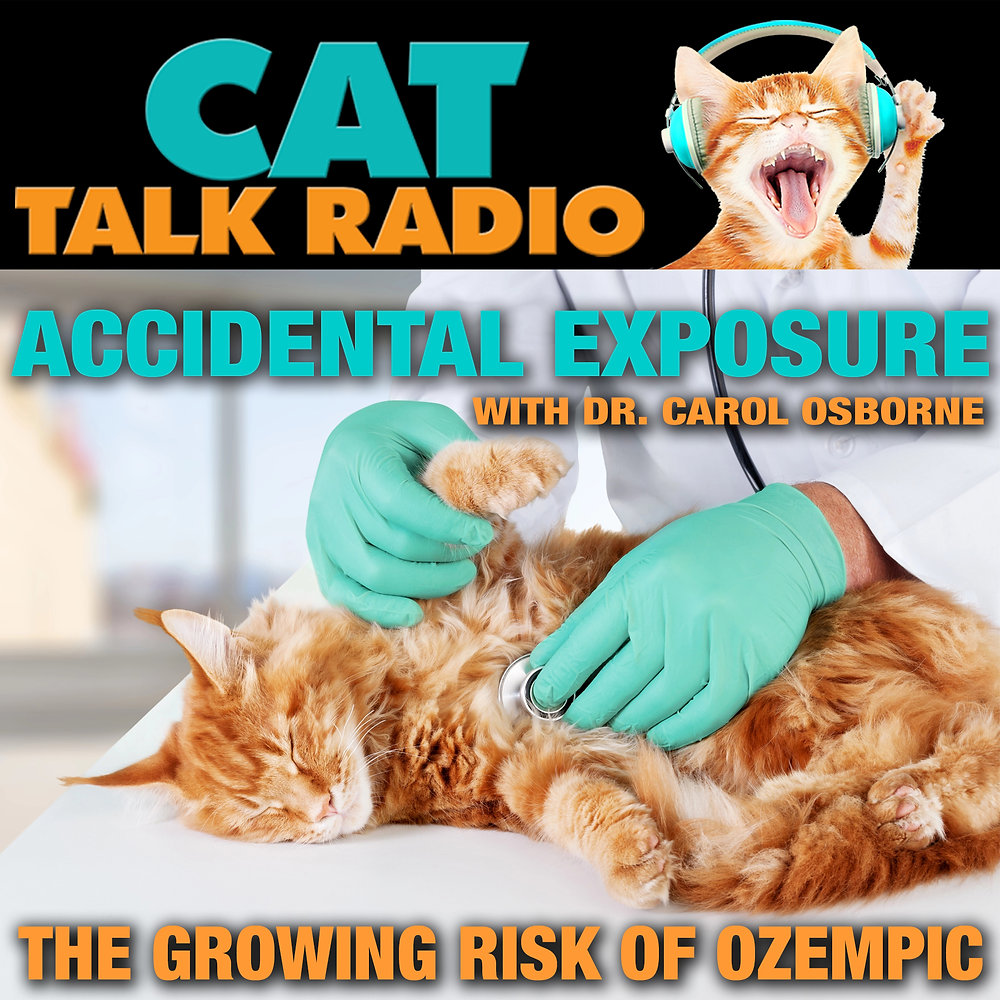 GLP-1 Drugs and Pet Safety
