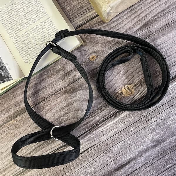 How to use a figure 8 dog lead – Best fitting practices