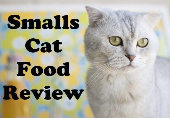 Smalls Cat Food Review 2026 – Purchased & Tested
