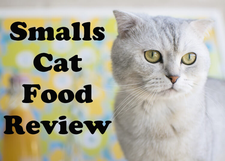Smalls Cat Food Review 2026 – Purchased & Tested