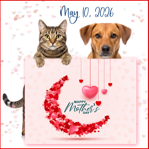 Sunday 5/10 Mother’s Day (US) Blogging Activities – The Cat Blogosphere