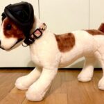 The Most Important Thing to Know about Ear Protection for Dogs