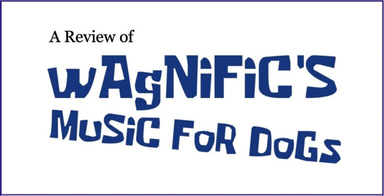 Wagnific: A Review of the Product and Its Marketing