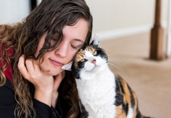Why Does My Cat Rub Her Face on Everything? 8 Reasons Why