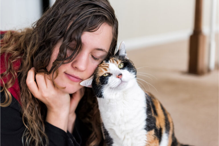 Why Does My Cat Rub Her Face on Everything? 8 Reasons Why