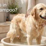 Why They’re Harmful & What to Use Instead
– 4-Legger