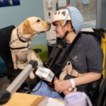 Good dog! More children’s hospitals turn to furry caregivers to help kids heal