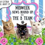 The BBHQ Midweek News Round-Up **Rambunctious Roses!!!** ~ Fudge’s on Garden Pawtrol, Smooch’s Chillaxing Under The Gazebo, and Parsley’s Deep in Flower Garden ~ **PLUS** Melvyn’s Modelling