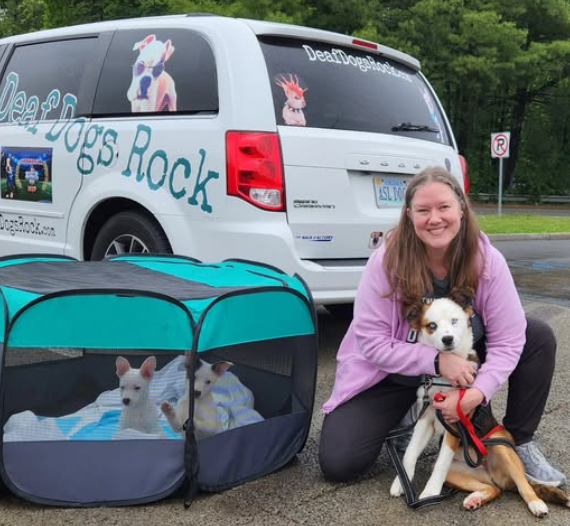 May 2026 DDR Rocker Puppy-Dog Rescue Sponsorship Recaps – Deaf Dogs Rock