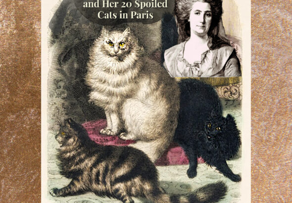 Benjamin Franklin, Madame Helvétius, and Her 20 Spoiled Cats in Paris |