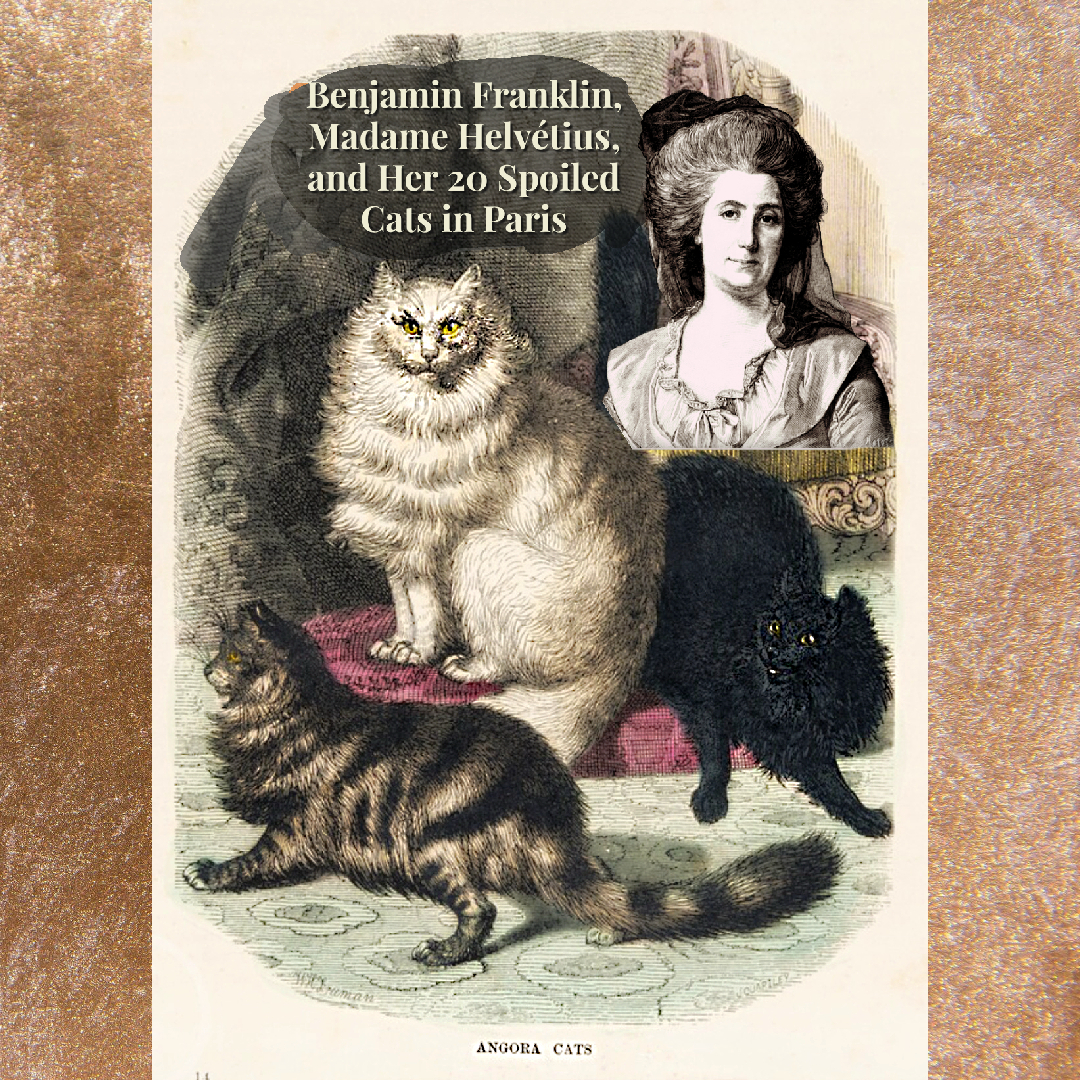 Benjamin Franklin, Madame Helvétius, and Her 20 Spoiled Cats in Paris |