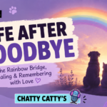 Chatting About the Rainbow Bridge, Euthanasia, and Laughter During Grief  | Chatty Cattys, Episode 24