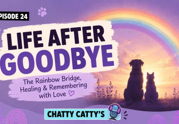 Chatting About the Rainbow Bridge, Euthanasia, and Laughter During Grief  | Chatty Cattys, Episode 24