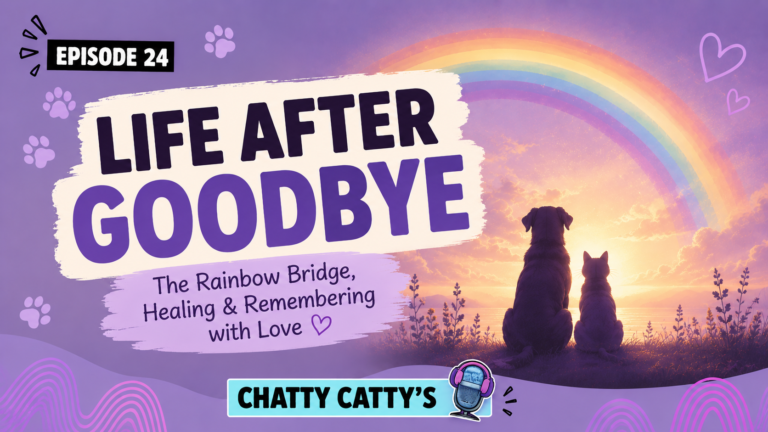 Chatting About the Rainbow Bridge, Euthanasia, and Laughter During Grief  | Chatty Cattys, Episode 24