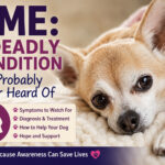 GME: A Deadly Condition You Probably Never Heard Of
