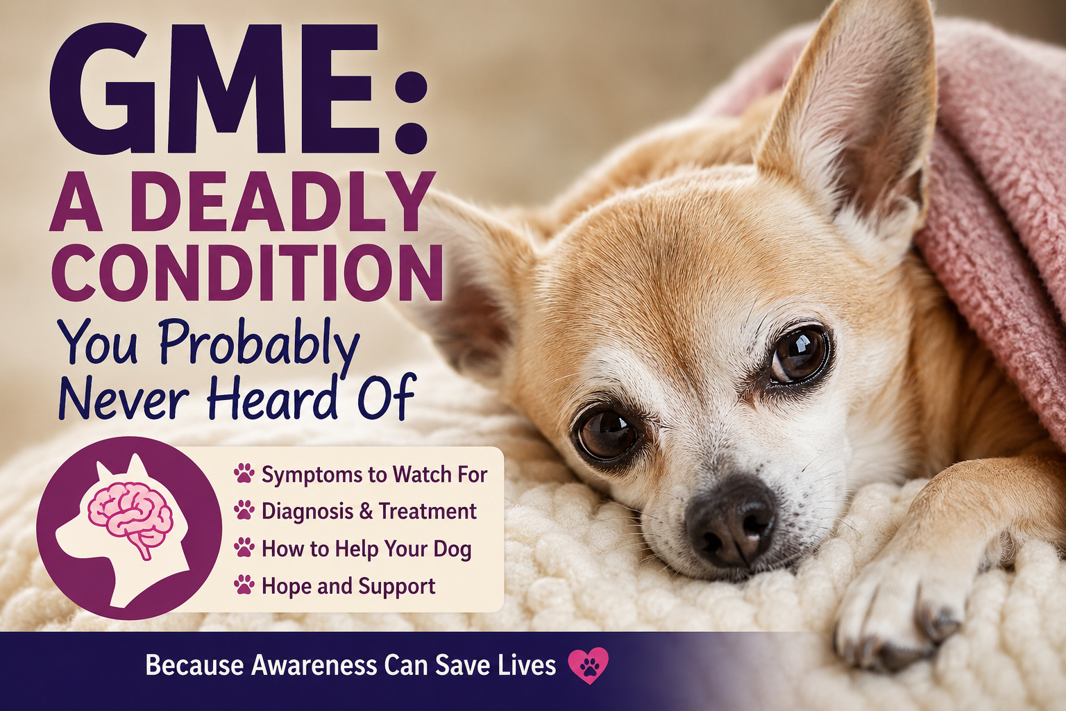 GME: A Deadly Condition You Probably Never Heard Of