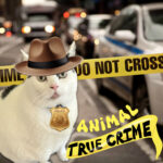 Pet Crime Solvers -Think Twice Pet Owners if You’re Going to Commit a Crime! | Home