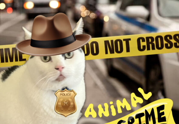 Pet Crime Solvers -Think Twice Pet Owners if You’re Going to Commit a Crime! | Home