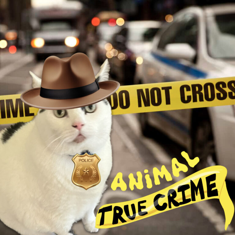 Pet Crime Solvers -Think Twice Pet Owners if You’re Going to Commit a Crime! | Home