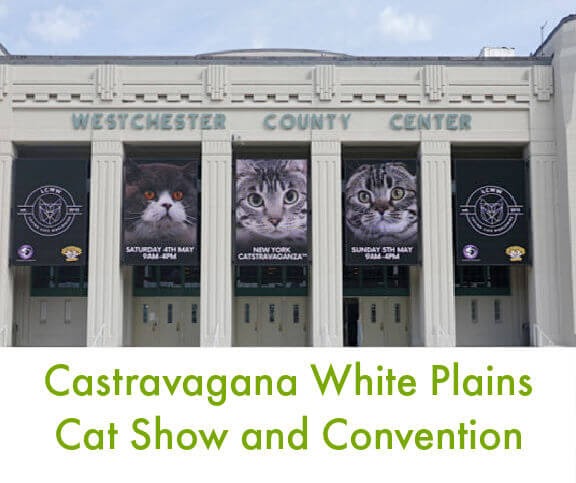 Catstravanga White Plains – A Cat Lover’s Weekend!