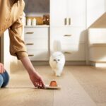 Expert Tips for Cats That Change Their Minds