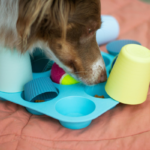 5 Easy Scent Games You Can Try at Home with Your Dog