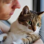 7 Vet-Approved Methods (Including One for Impossible Cats)