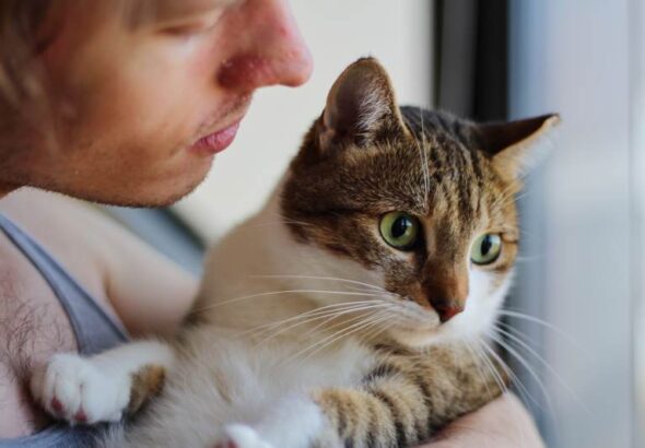 7 Vet-Approved Methods (Including One for Impossible Cats)