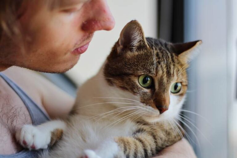 7 Vet-Approved Methods (Including One for Impossible Cats)