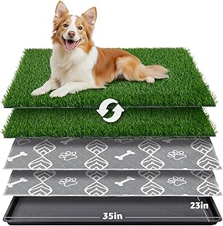 Best-Indoor-Dog-Potty-8-Trainer-Tested-Picks-2026.jpg
