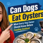 Can Dogs Eat Oysters? What Every Dog Owner Should Know Before Feeding Seafood
