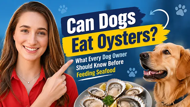 Can Dogs Eat Oysters? What Every Dog Owner Should Know Before Feeding Seafood