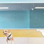 How Structured Daycare Supports Long-Term Behavioral Health