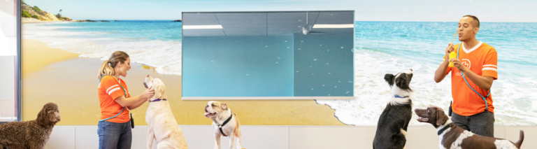How Structured Daycare Supports Long-Term Behavioral Health