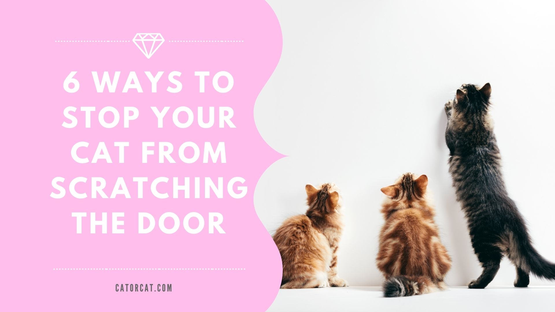How To Stop Cat From Scratching Door