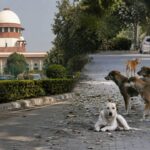 SC Refuses Plea on Punjab CM’s Stray Dog Remarks