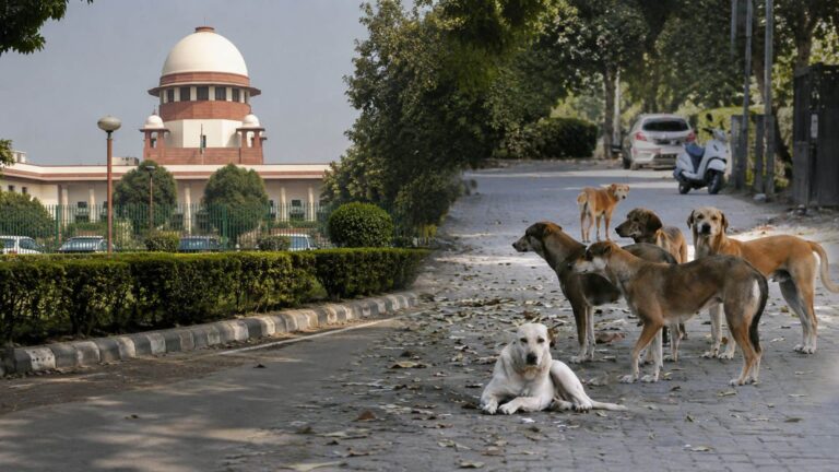 SC Refuses Plea on Punjab CM’s Stray Dog Remarks