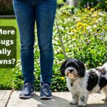 Why Treated Lawns May Have More Bugs And What That Means for Your Dog
– 4-Legger