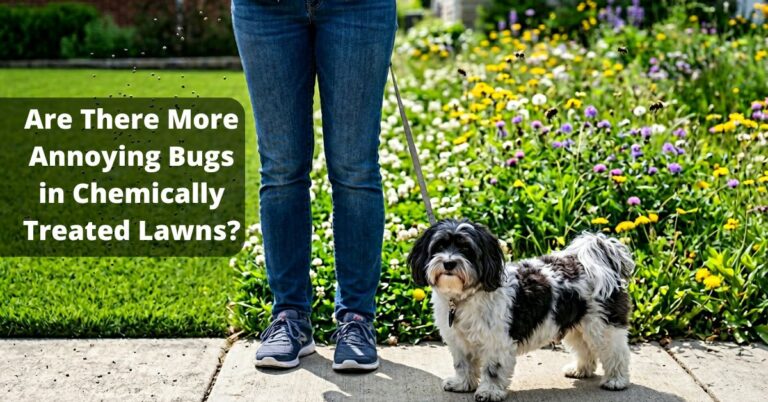 Why Treated Lawns May Have More Bugs And What That Means for Your Dog
– 4-Legger