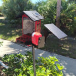 Our Third Bird Feeder in Six Months