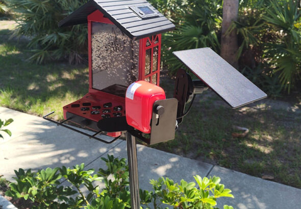 Our Third Bird Feeder in Six Months