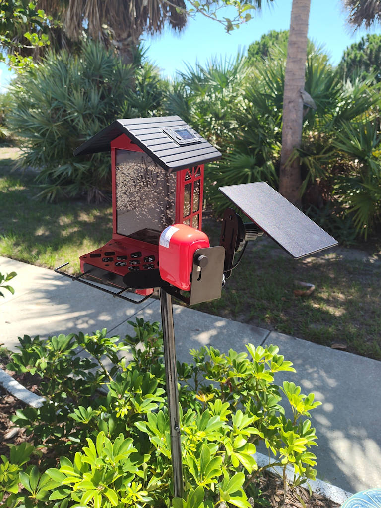 Our Third Bird Feeder in Six Months