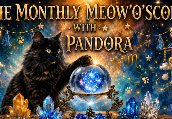 **BRAND NEW** THE BBHQ MONTHLY MEOWOSCOPE FOR JULY 2026 with PANDORA **PLUS** YOUR PURRSONAL COSMIC TIP