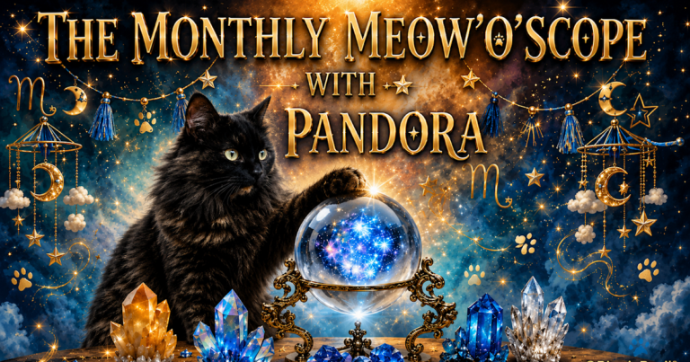 **BRAND NEW** THE BBHQ MONTHLY MEOWOSCOPE FOR JULY 2026 with PANDORA **PLUS** YOUR PURRSONAL COSMIC TIP