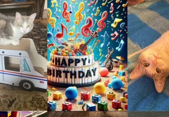 Happy 6th Birthday Sweet Roary!