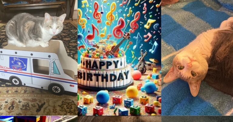 Happy 6th Birthday Sweet Roary!