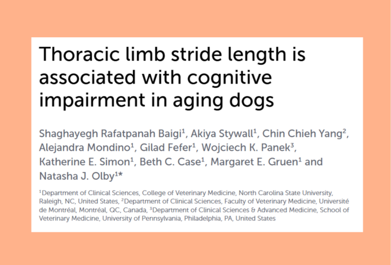 New Indicator of Cognitive Decline in Dogs