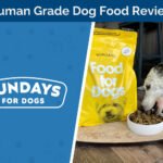 Sundays for Dogs Dog Food Beef Recipe Review 2026: A Human-Grade Option with Zero Synthetic Additives