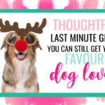 Last Minute Holiday Gifts You Can Still Get Your Favourite Dog Lover
