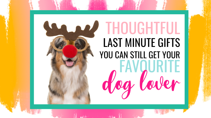 Last Minute Holiday Gifts You Can Still Get Your Favourite Dog Lover